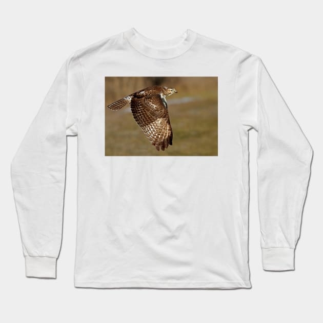 Red-tailed Hawk Long Sleeve T-Shirt by Jim Cumming